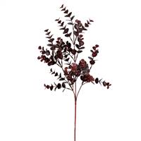 27" Burgundy Eucalyptus Bush Pk/4