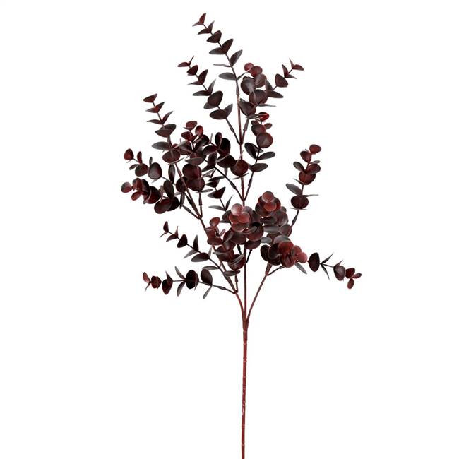 27" Burgundy Eucalyptus Bush Pk/4