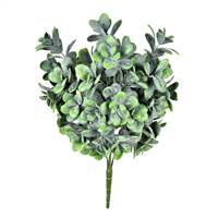 17" Green Jade Bush UV