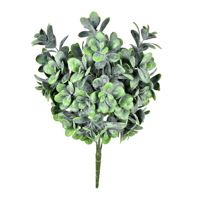 17" Green Jade Bush UV