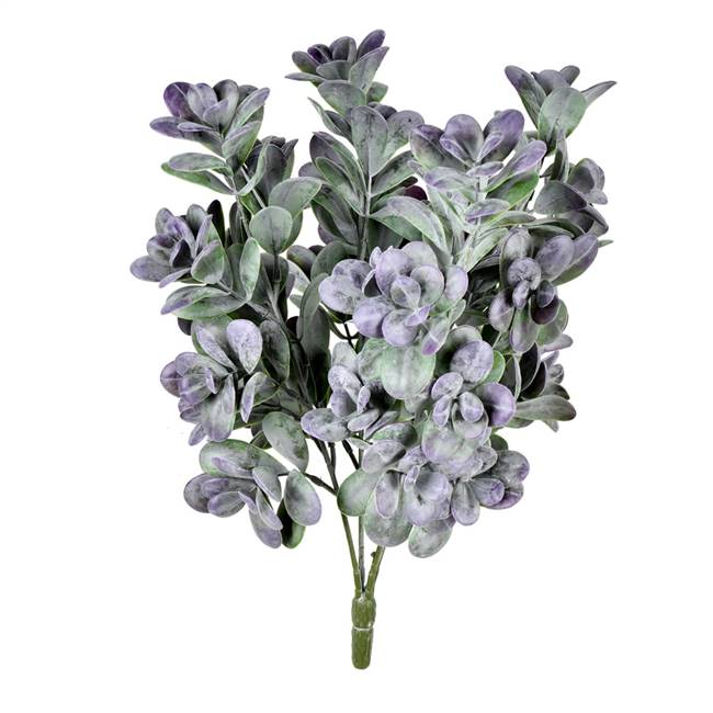 17" Gray/Purple Jade Bush UV