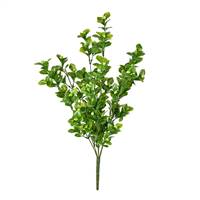 18" Green Boxwood Bush UV