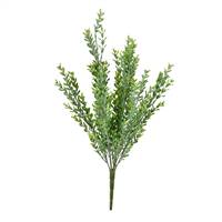 21" Green Mini Locust Bush UV