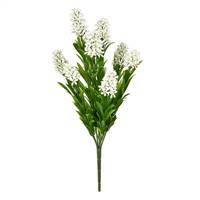 16" White Blazing Star Bush UV