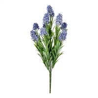 16" Blue Blazing Star Bush UV