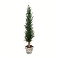 48" Potted Cedar Tree