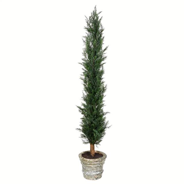 60" Potted Cedar Tree