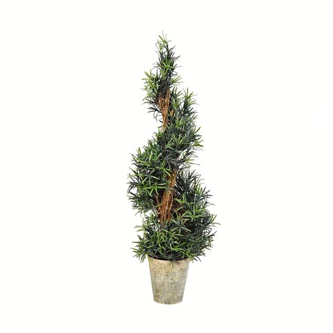 34" Potted Rosemary Spiral