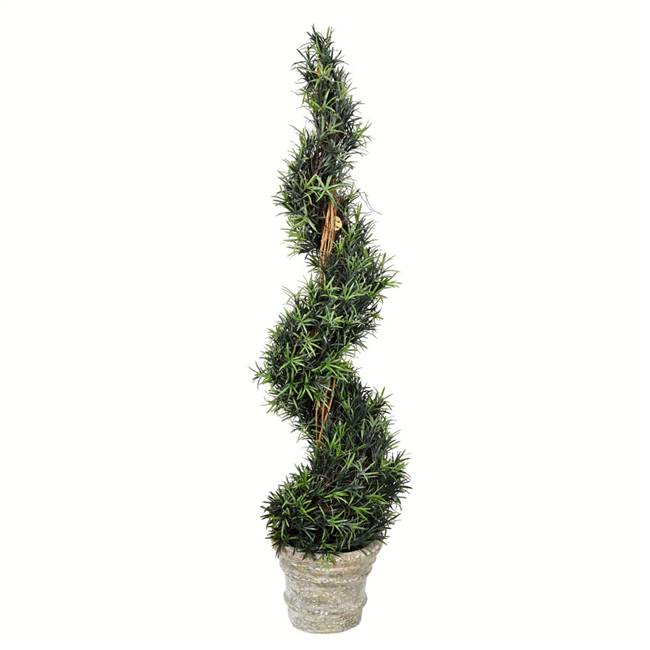 54" Potted Rosemary Spiral