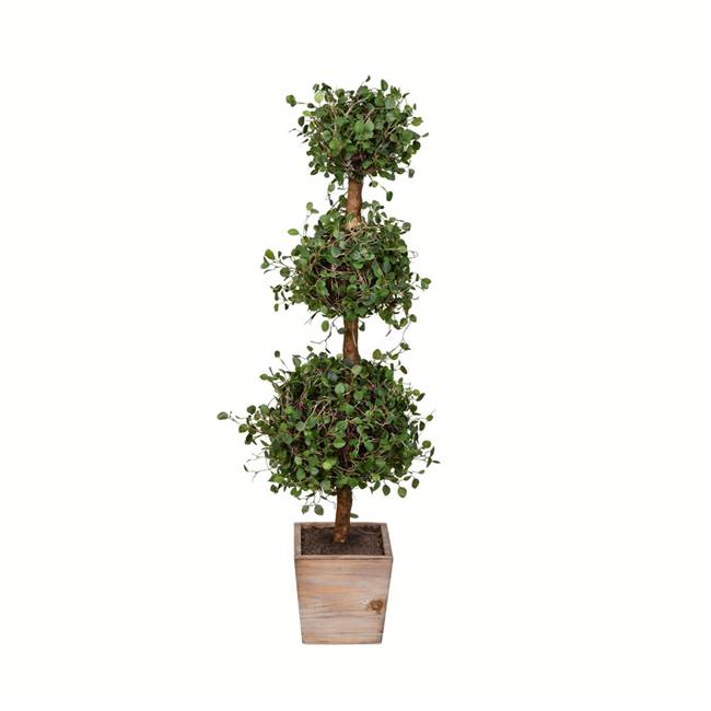 34" Potted Angel Vine Triple Ball