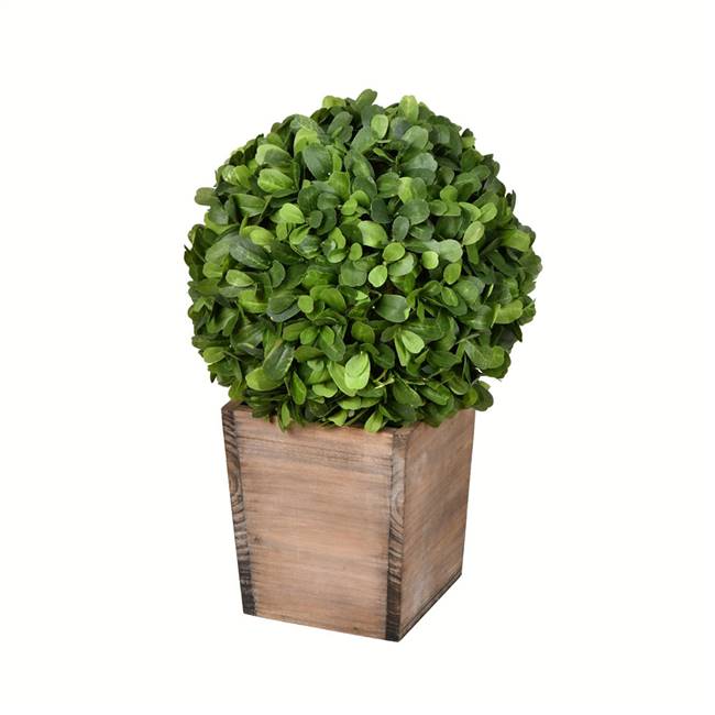 16" Potted Boxwood Ball