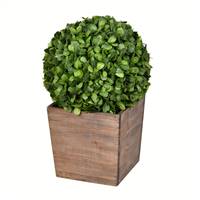 21" Potted Boxwood Ball