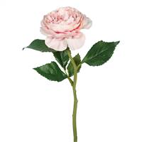 13"  Rose Stem-Pink (PK/6)