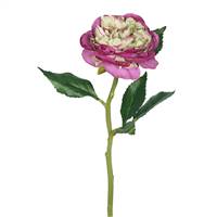 13"  Rose Stem-Purple (PK/6)