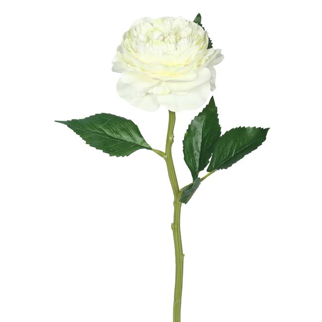 13"  Rose Stem-White (PK/6)