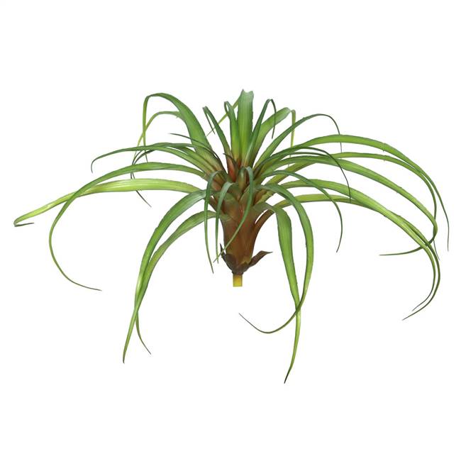 7" Tillandsia-Green (PK/3)