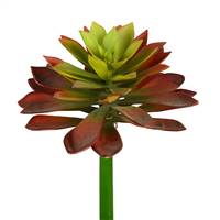 10" Red/Green Succulent Stem 2/Pk