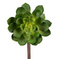 6" Green Succulent Stem 2/Pk