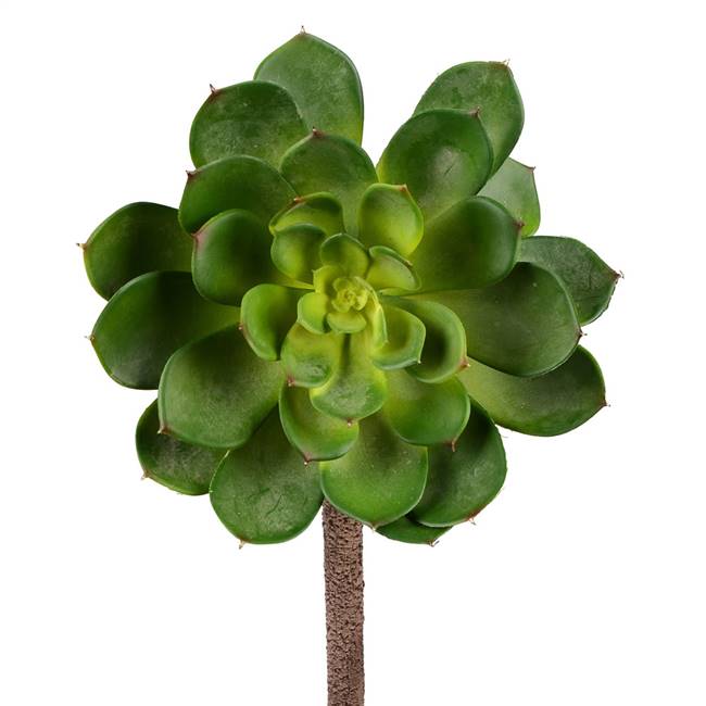 6" Green Succulent Stem 2/Pk