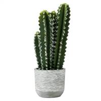 17" Green Cactus in Concrete Pot
