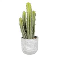 15.5" Green Cactus in Concrete Pot