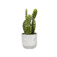 9.5" Green Cactus in Concrete Pot