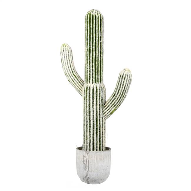 36" Green/White Cactus in Concrete Pot