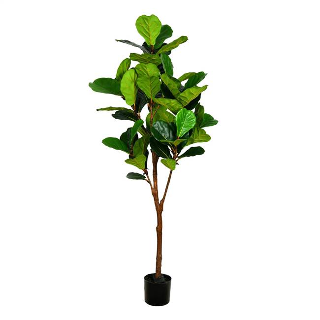 6' Green Potted Fiddle Tree