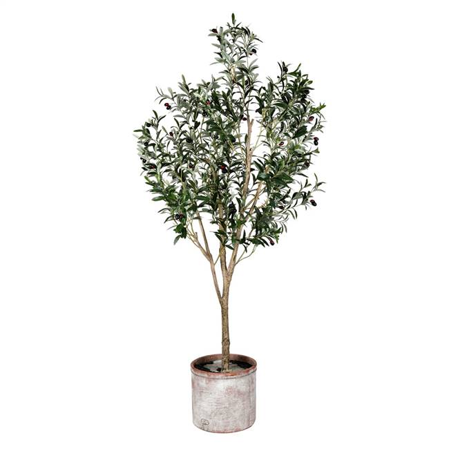 6' Green Potted Olive Tree