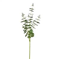 36" Green Money Leaf Spray Pk/3