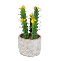 12" Green Potted Cactus