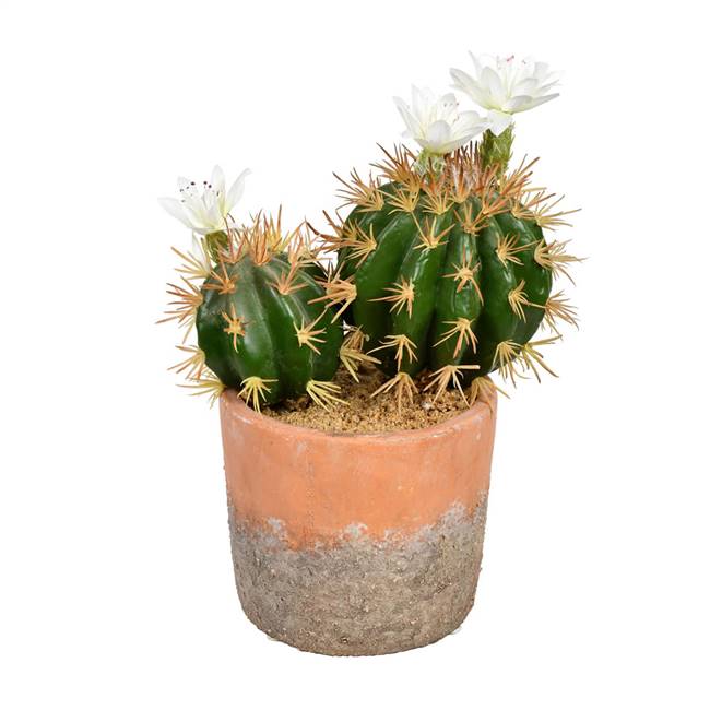 9" Green Potted Cactus