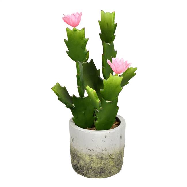 11" Green Potted Cactus