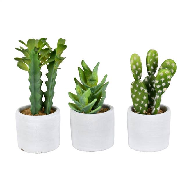 7" Green Potted Cactus Set of 3 Asst