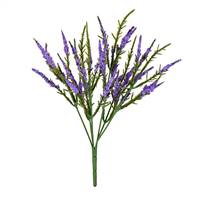 13" Purple Blazing Star Bush Pk/3