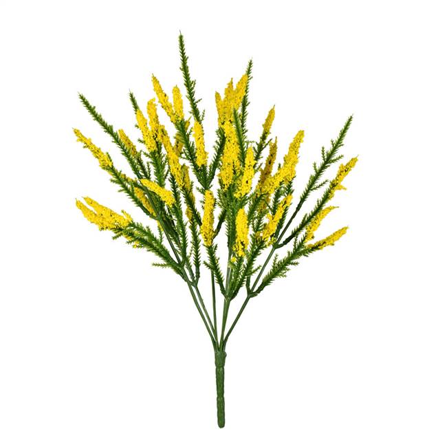 13" Yellow Blazing Star Bush Pk/3