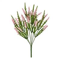 13" Pink Blazing Star Bush Pk/3