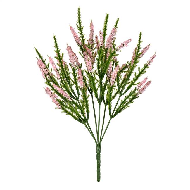 13" Pink Blazing Star Bush Pk/3