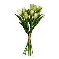 14" Green Tulip Bundle Pk/2