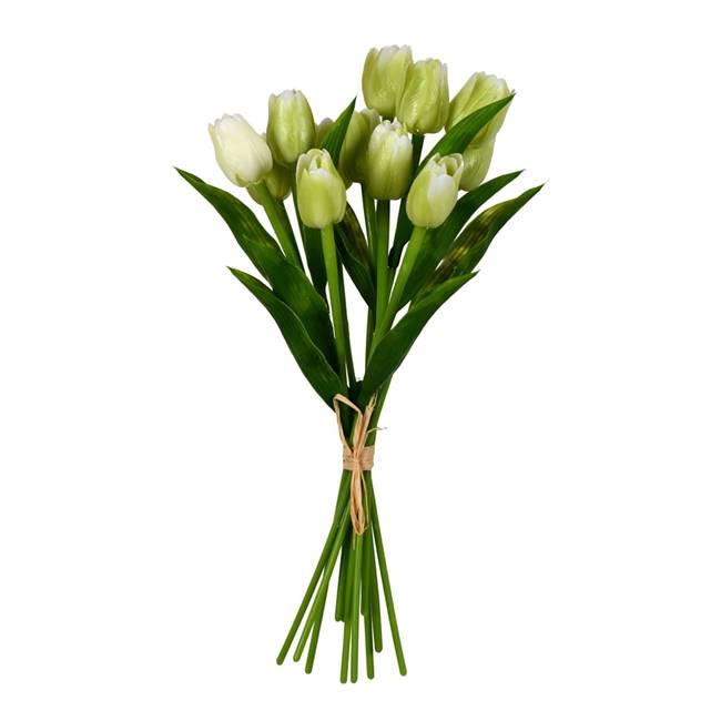 14" Green Tulip Bundle Pk/2