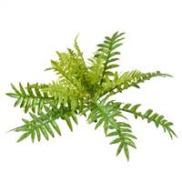 26" Green Fern Bush