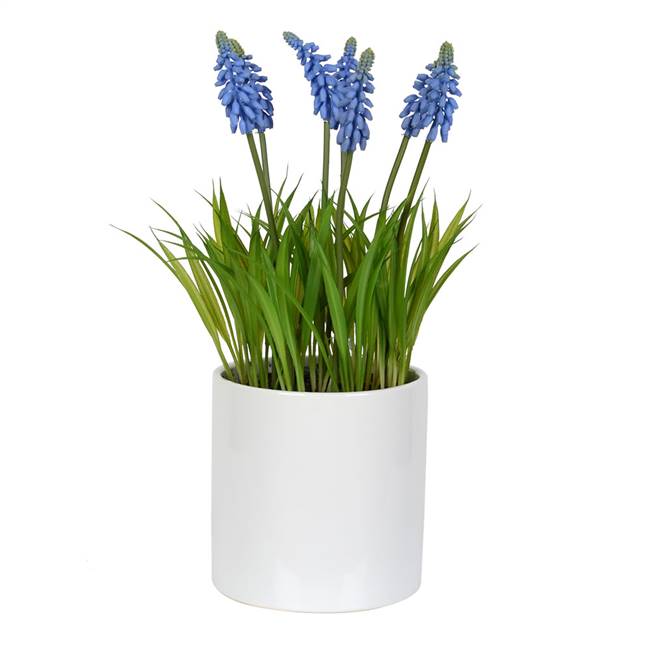 13.5" Hyacinth Flower in Ceramic Pot