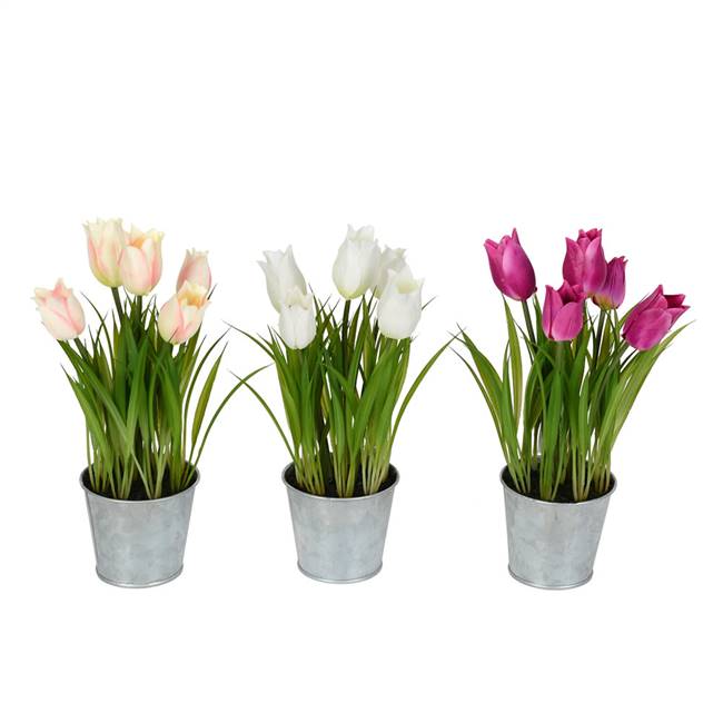 10.5" Asst Tulip in Metal Pot Set of 3