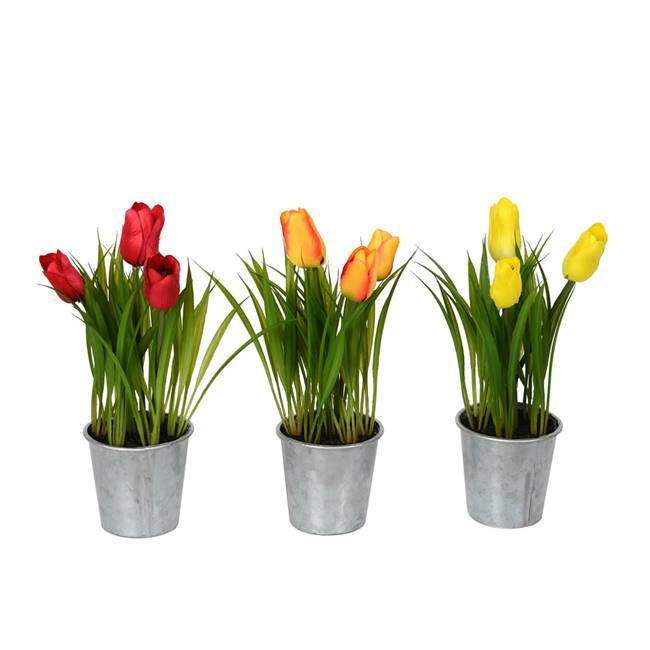 9.5" Asst Tulip in Metal Pot Set of 3