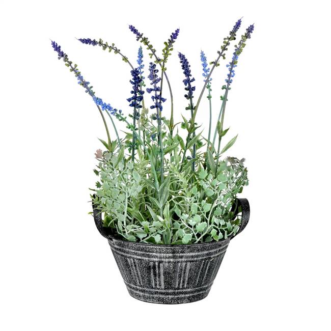 14.5" Lavender In Galvanized Pot