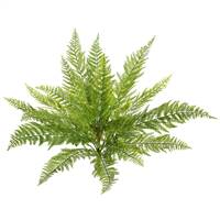 20" Green Lace Fern Bush