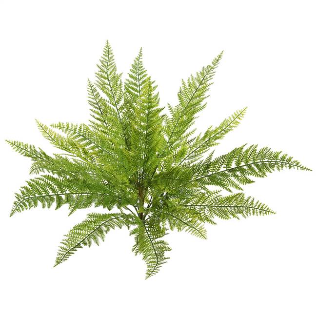 20" Green Lace Fern Bush