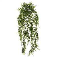30" Green Bucler Fern Vine
