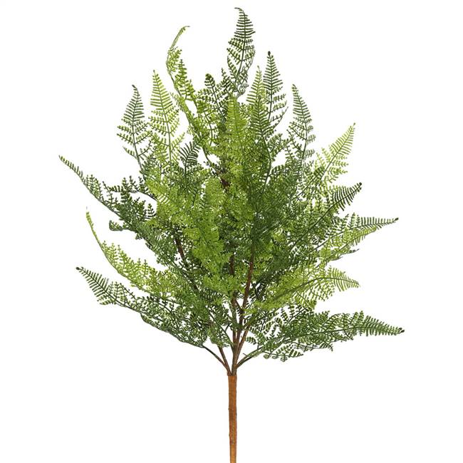 21.5" Green Lace Fern Bush