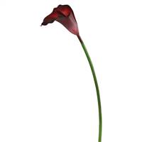 28" Calla Lily Burgundy Large Stem